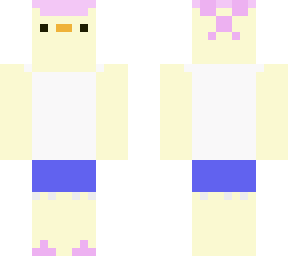 summer duck