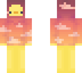 sunset duck