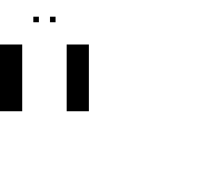 the whit ninja