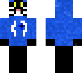 black cat with blue hoodie