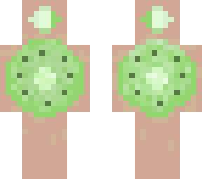 kiwi (finished)