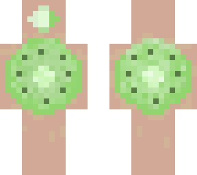 kiwi 3.0