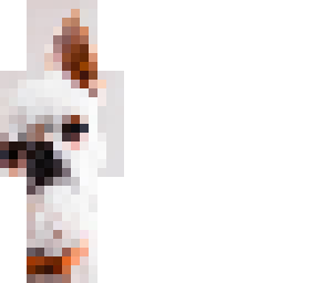 mad chihuahua