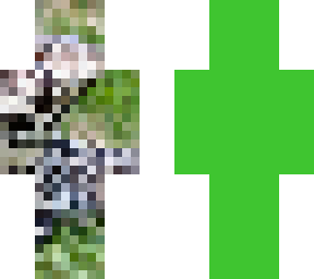 tegu pixel art