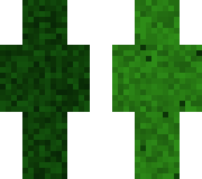camo skin (snow edition)
