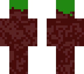 dirt