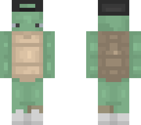 swag turtle