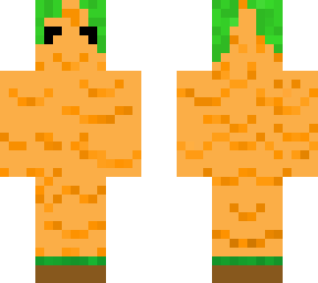 carrot 2.0