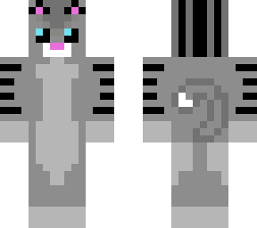 cute gray kitty