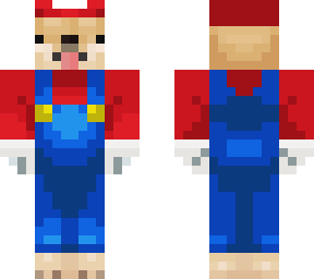 mario doge