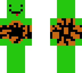 ordinary turtle