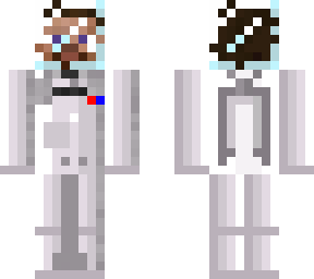 steve astronauta