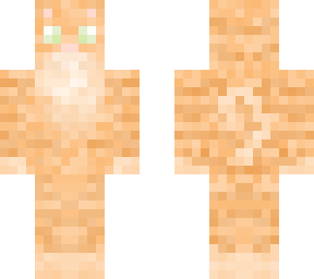 tabby cat
