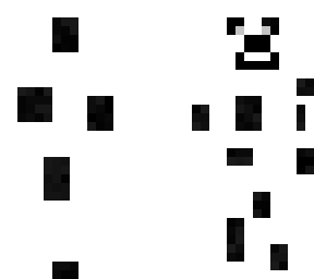 dalmation