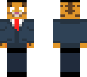 funkytiger27's skin