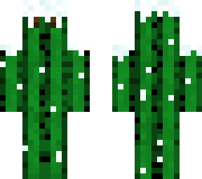 schneekaktus