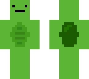 special turtle