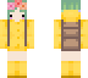 turtle reg