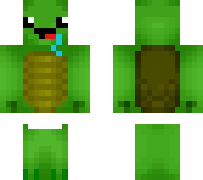 baby turtle