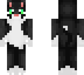 smoking cat