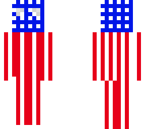 usa skin
