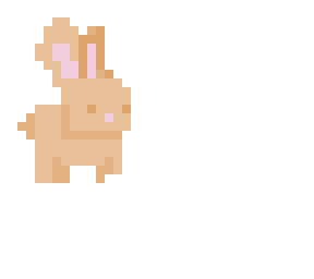 bunny