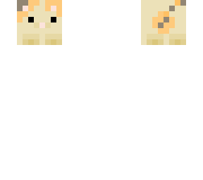 cat head