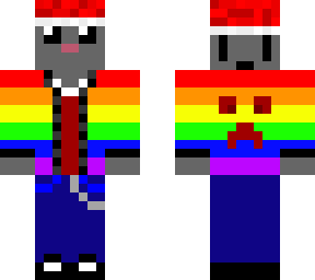 rainbow jacket cat