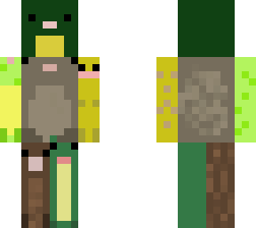 several frogs and toads