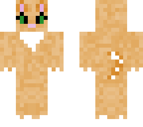 tabby cat