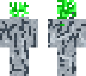 acacia tree