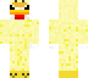 chicken in a chicken