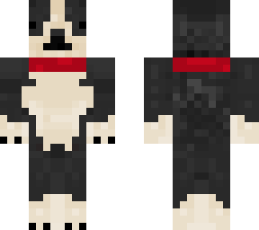 re-improved boston terrier