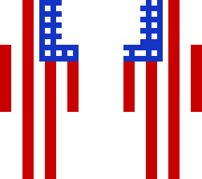 the american flag