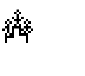 contest resuluts