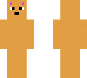 cool bear skin