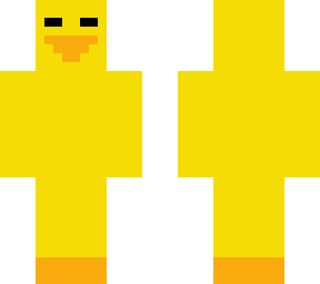 ducky duck dude