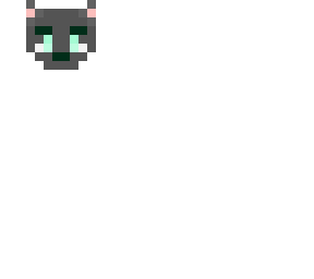 koala face