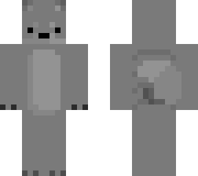 racoon
