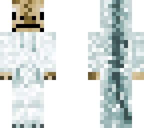 skin lizard final?