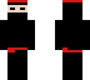 the ninja