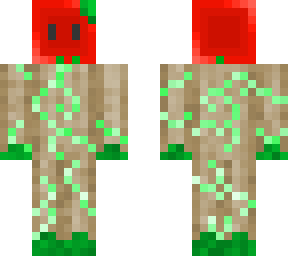 tomato skin