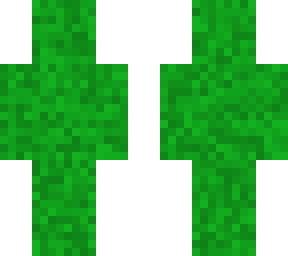 grass