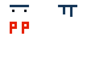 pp ninja