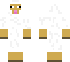 sheep
