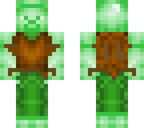 tortoise steve