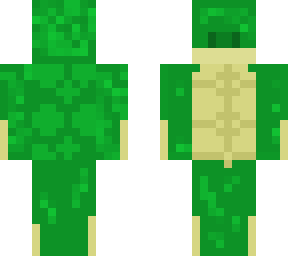 turtle skin