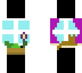 window