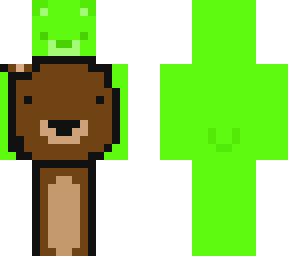 bear dream