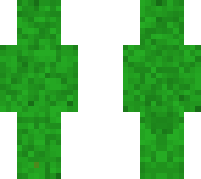lizbard